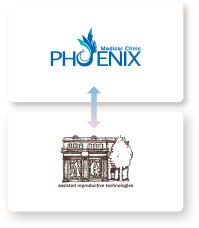 phoenix medical clinicとassisted reproductive technologiesの連携